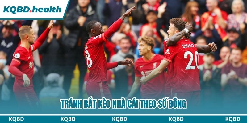 Hạn chế bắt các kèo của nhà cái theo số đông